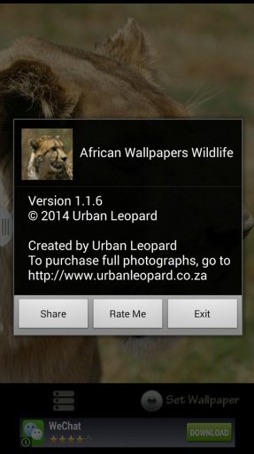 African Wallpapers:Wildlife 1截图2