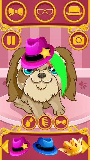 Pet Hair Stylist截图4