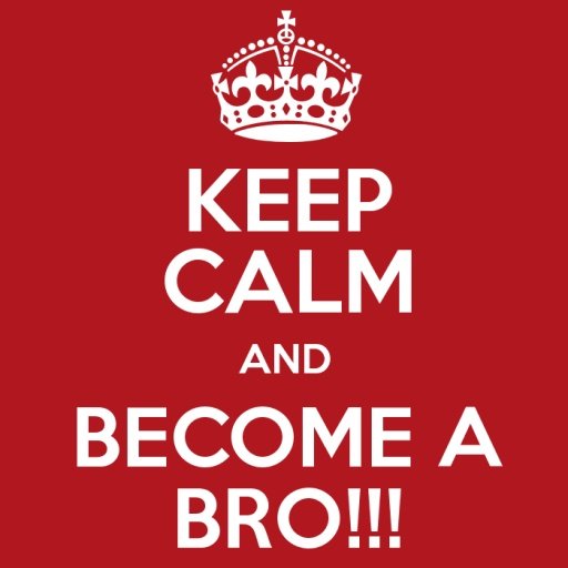 Become a BRO!截图3