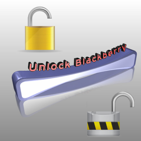 Unlock Blackberry by Network截图9