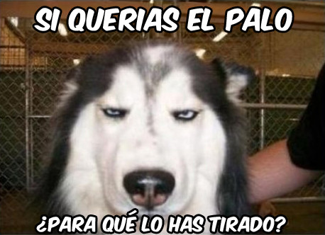 Imagenes Whats Humor截图5