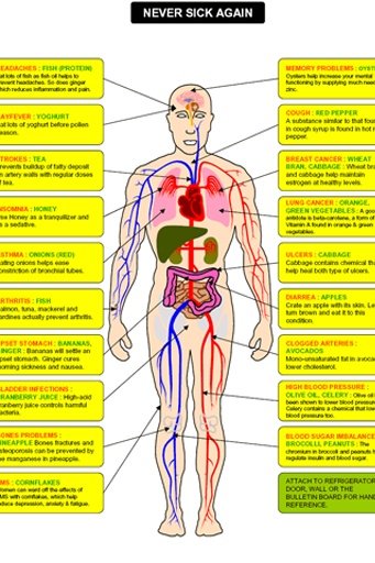 Health Articles截图2