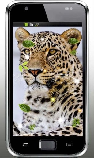 Sounds Jaguar live wallpaper截图3