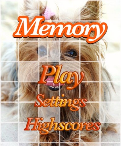 Yorkie Dogs Dogs Memory Game截图2