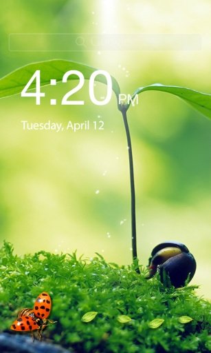 Ladybug Lock Screen截图2