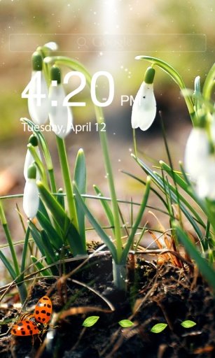 Ladybug Lock Screen截图6