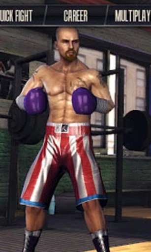 Real Boxing Jigsaw Puzzle截图8