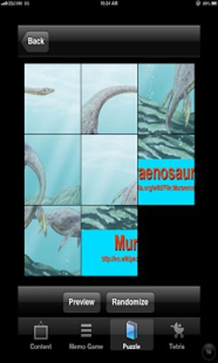 Fun Jurassic Dinosaur Game截图7
