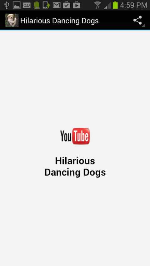 Hilarious Dancing Dogs截图1