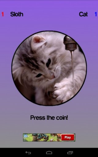 Cat or Sloth Coin Toss截图5