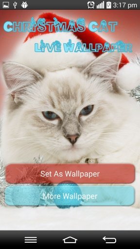 Christmas Cat Live Wallpapers截图3