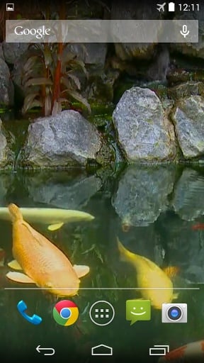 Koi Pond Live Wallpaper截图4