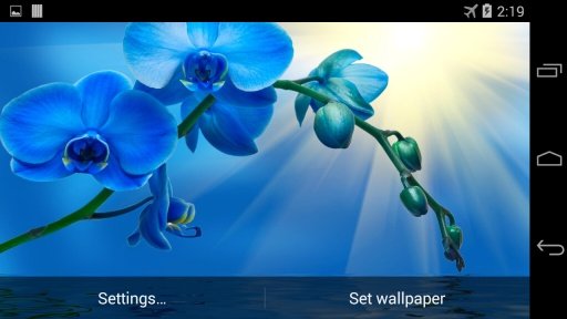 Blue Orchid Live Wallpaper截图3