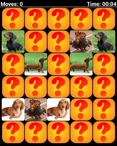 Dachshund Dogs Dogs Memory Game截图1