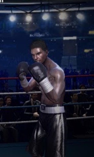 Real Boxing Jigsaw Puzzle截图2