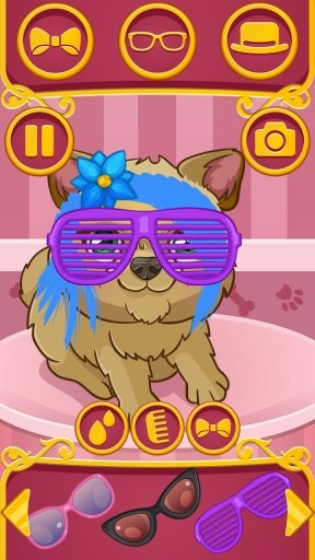 Pet Hair Stylist截图2