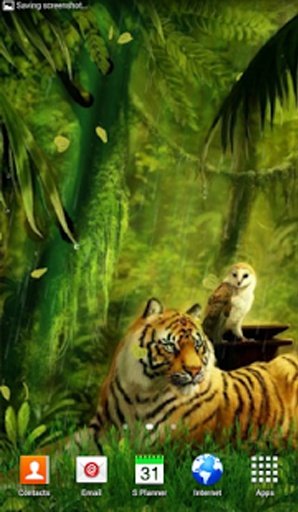 Jungle Tiger Live Wallpaper截图6