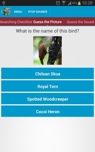 South American Birds Sounds截图2