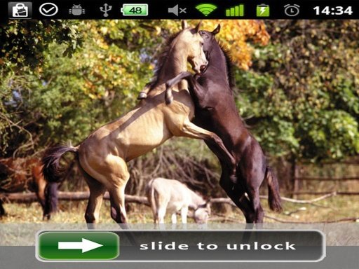 Horses Lock Screen photo截图1