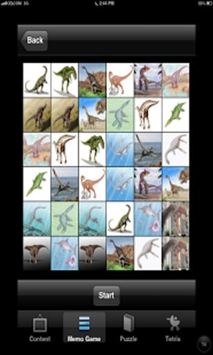 Fun Jurassic Dinosaur Game截图2