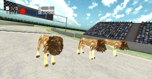 Animal Racing: Lion King截图3