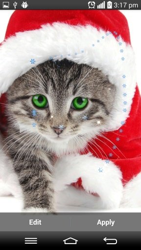 Christmas Cat Live Wallpapers截图1