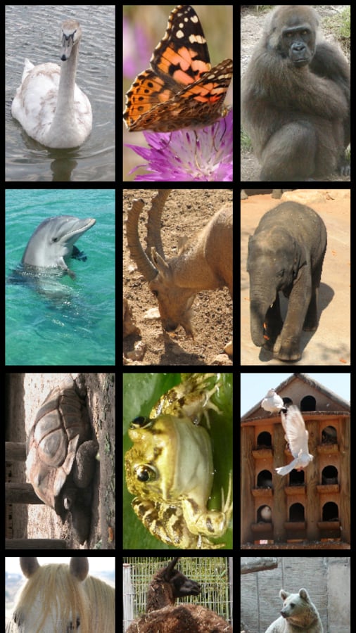 Animals Puzzle截图4