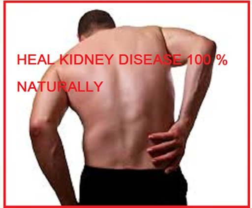 Improve Your Kidney Function ?截图2