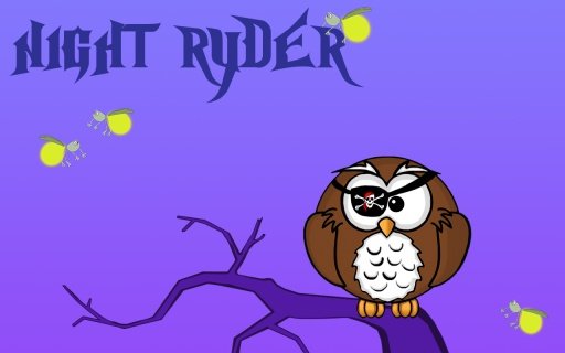 Night Ryder截图8