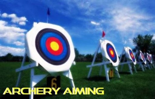 Archery Aiming截图2