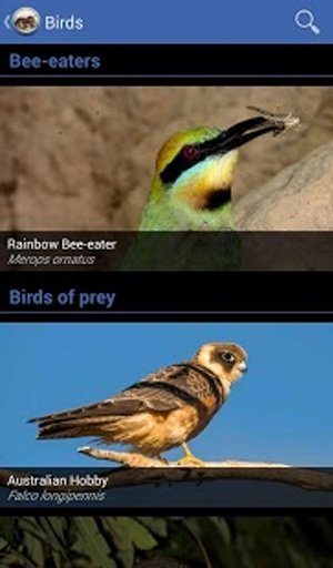 Field Guide NSW截图5