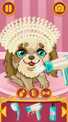 Pet Hair Stylist截图1