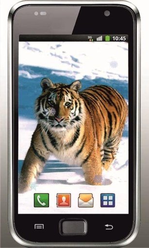 Tiger Free HD live wallpaper截图3