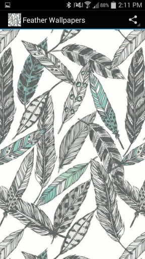 Feather Wallpapers截图1