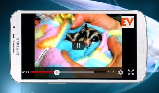 Sugar Gliders Care截图2