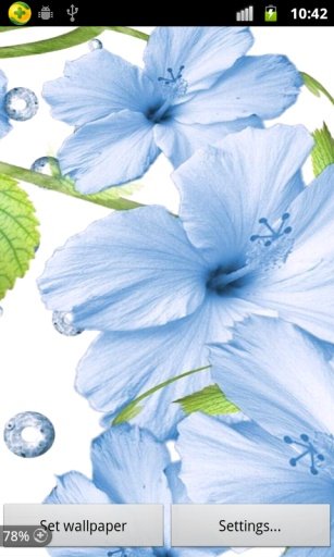 3D Flower Live Wallpaper截图1