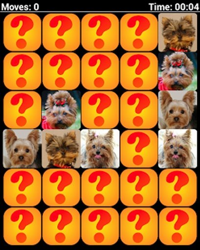 Yorkie Dogs Dogs Memory Game截图5