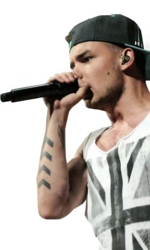 Liam Payne One Direction截图5