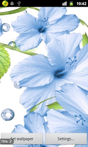 3D Flower Live Wallpaper截图4