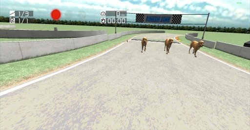 Dog Racing : Labrador截图4