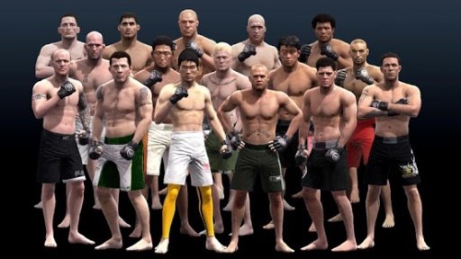 3D MMA Boxe Game截图2