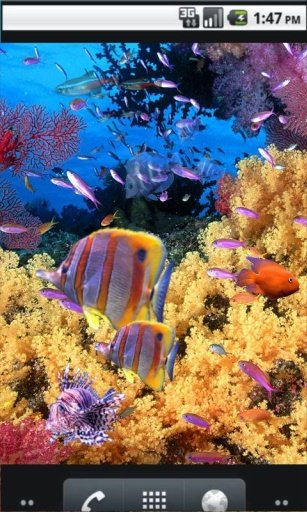 Underwater Photo Wallpaper截图1