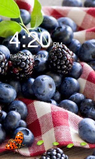 Ladybug Lock Screen截图4