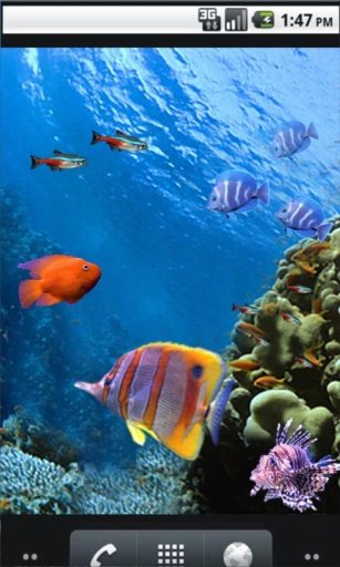 Underwater Photo Wallpaper截图4