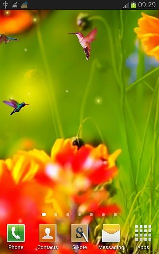 Birds HD Wallpapers 3D截图3