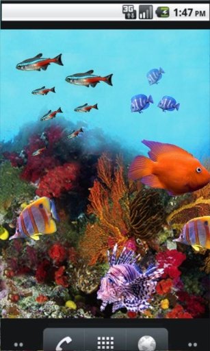 Underwater Photo Wallpaper截图3