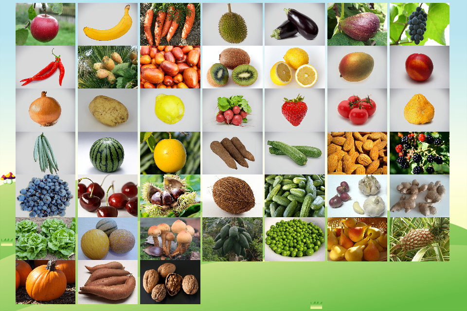 ABC Fruit Veg Flashcard Write截图7