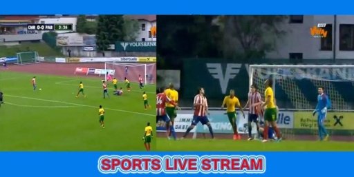 Watch World Cup Live Stream截图3