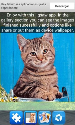 Kitties Jigsaw Wallpaper Game截图2