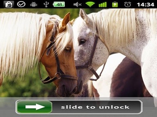 Horses Lock Screen photo截图2